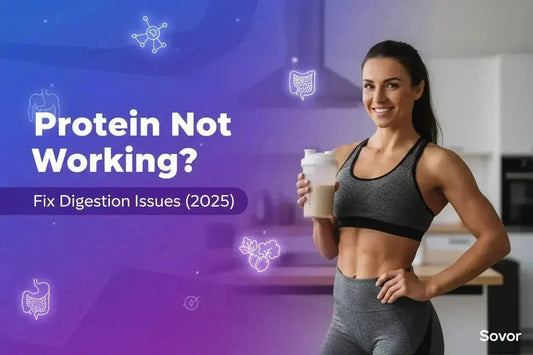 Digestive Enzymes & Protein: Gut Health Guide 2026 - Sovor